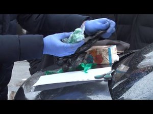 В Курской области задержаны 17 человек, подозреваемые в сбыте наркотиков