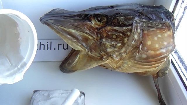 Заливка формы из гипса для литья воблеров, грузил или джиг головок, видео rybachil ru смотреть онлайн