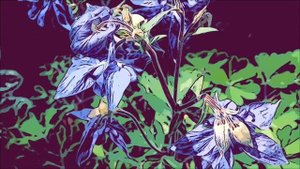 «Свёкр и невестка».  Истории любви и измен.