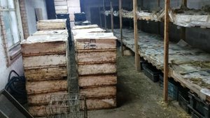 Дополнительный заработок на червях для рыбалки. Итоги весны 2023г.
