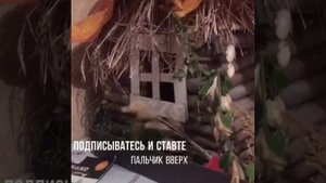 Поделка Домик из веток своими руками ?? DIY house