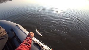 Ловля щуки для начинающих. Видео обучение новичка. Как поймать щуку