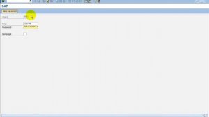 SAP Logon and Logoff |  How to login and logout from SAP System