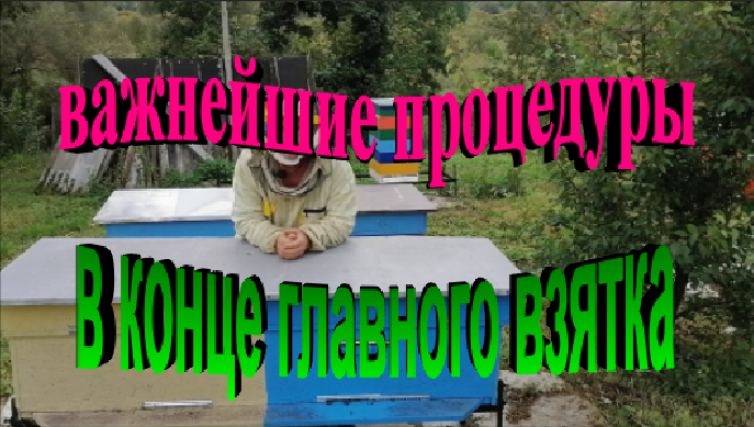 Важнейшие процедуры в конце главного взятка. Создание условий для хорошей зимовки. смотреть онлайн