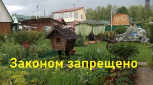 Новые запреты для дачников и жителей частных домов , на сжигание мусора и сухой травы.