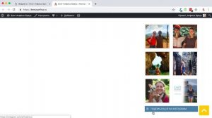 Как добавить и настроить виджет фото Instagram на сайт WordPress