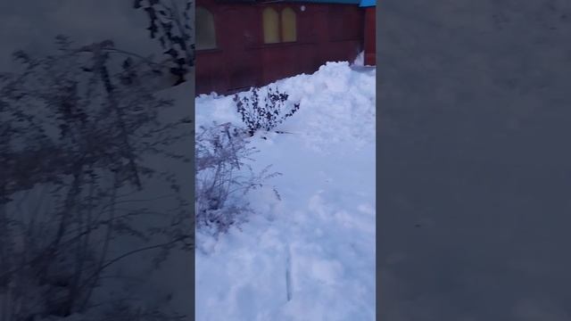 Северный Урал холодно однако !?
