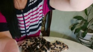 Как я шила платье для латины с бахромой