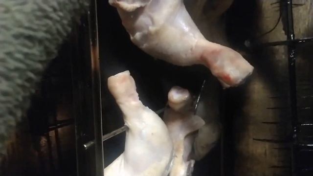 ОКОРОЧКА КУРИНЫЕ горячего копчения в моските смотреть онлайн