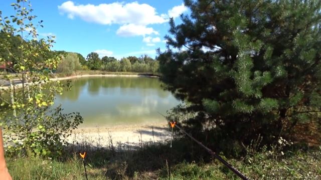 РУКАМИ ЕСТЬ ВКУСНЕЕ! НАКОРМИЛИ ДАНЮ КУКУРУЗОЙ! смотреть онлайн