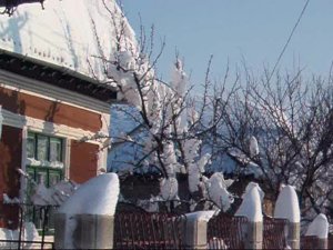 Зима-2009 в Гагаузии