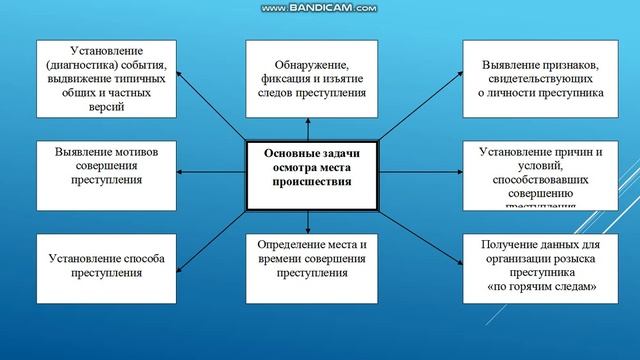 Тлеубаев К К Тактика осмотра смотреть онлайн