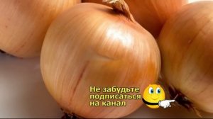 Лучший способ очистить легкие от никотина и смол