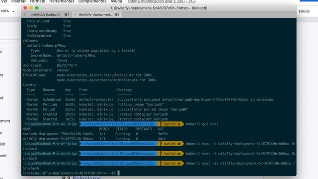 Comunicación entre pods en Kubernetes ⚓️ #34 смотреть онлайн