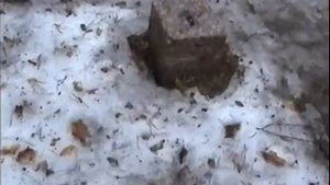Немецкое кладбище в Смоленске Ч 2 Тамара Скобелева