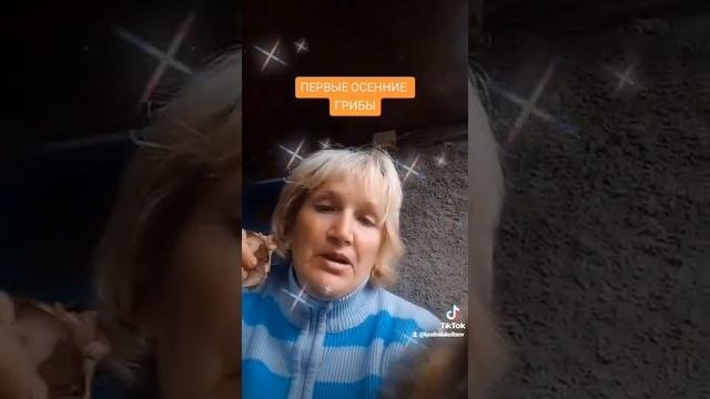 Осенние грибы