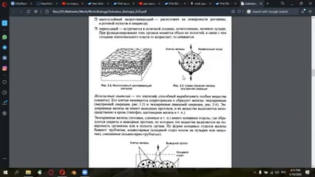 Анатомия 1 смотреть онлайн