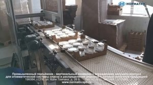 Подъёмник для коробок - промышленный лифт для транспортировки продукции на производстве. ПК Нормати