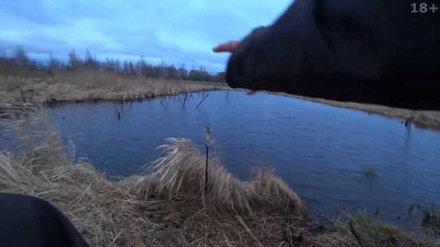 СКОЛЬКО ЕГО В ЭТОЙ КАНАВЕ? БЕШЕНЫЙ КЛЁВ КАРАСЯ на поплавочную удочку. Ловля карася весной 2021 смотреть онлайн