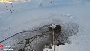 Пруд замерз! Аэрация и полынья в своём пруду в -25 | Разведение рыбы и раков в пруду на участке