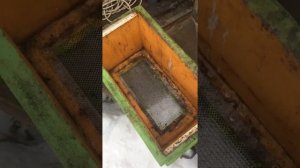 6 рамочный улей из ППУ через два года эксплуатации.
