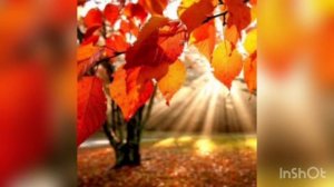 Изучение времён года. Детям 5-7 лет. Серия уроков. Урок 1. Времена года