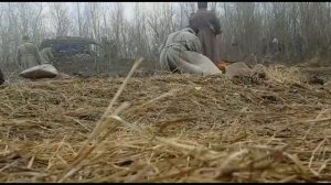 На съемках фильма Хождение по мукам. 2017.