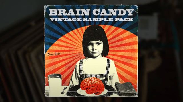 [FREE] VINTAGE SAMPLE PACK - "BRAIN CANDY" - (Soul, Blues, Jazz, Piano, Strings, Guitar Samples)