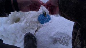 озеро Долгое, Ленинградская область, крайний лёд закрытие зимней рыбалки на жерлицы.