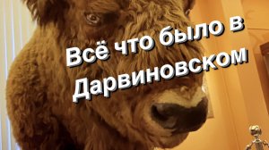 День в Дарвиновском музее