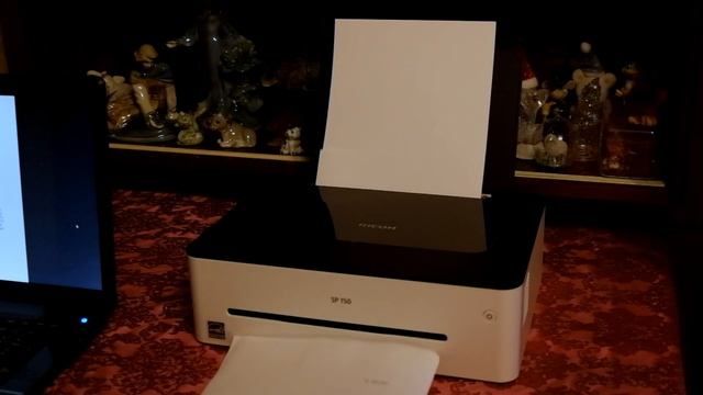 Проверка скорости печати лазерного принтера Ricoh SP 150 смотреть онлайн