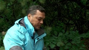 Как приготовить лесных улиток