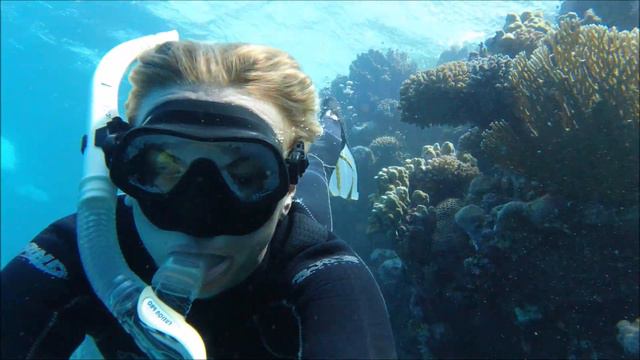 Snorkelling with Eagle rays
