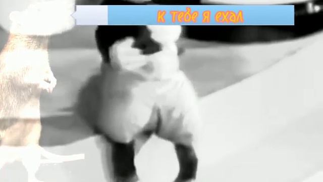 А где прошла ты!!!! смотреть онлайн