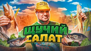 CЧУЧИЙ САЛАТ