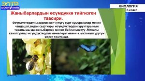 6-класс | Биология |  Жандуу организмдердин жана өсүмдүктөрдүн ар түрдүүлүгү