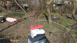 Садовый измельчитель из Leroymerlin sterwins ESH2-45.41