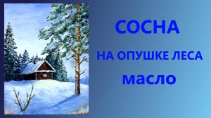 Сосна на опушке леса. Масло. Для начинающих.