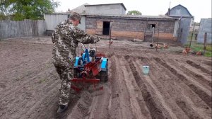 Сажаю картошку в 2022 году и испытываю опорные подшипники на мотоблоке Нева МБ-2