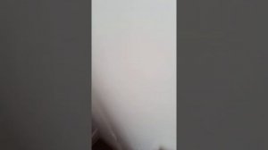 23.03.21.Ялта сан. Орлиное гнездо