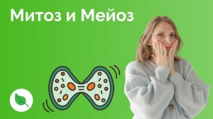 Митоз и Мейоз