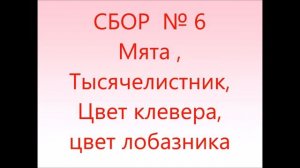 КАК ЛЕЧИТЬ АРИТМИЮ СЕРДЦА ТРАВАМИ