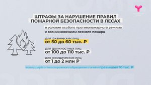 Штрафы за нарушение правил пожарной безопасности в лесах