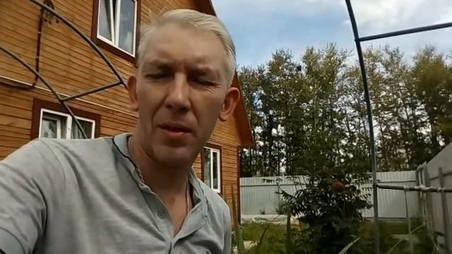 Устранение запахов из септика и бани профессиональным биопрепаратом Liquazyme (Ликвазим) смотреть онлайн