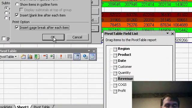 Excel - Pivot Table Tricks: Separate Regions with Blank Rows or Page Breaks - Episode 503