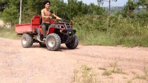 Китайский грузовой квадроцикл DMA150 05F Farm Version