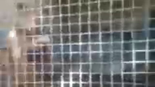 Танцующий медведь в зоопарке Таджикистана смотреть онлайн