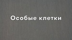 Настольная игра Монополия Игра Престолов: правила