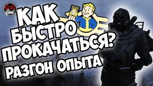 Fallout 76: Быстрая прокачка. Как увеличить получаемый опыт?