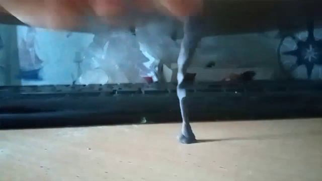 👉не знаю как назвать вот почему написал это 👈 смотреть онлайн